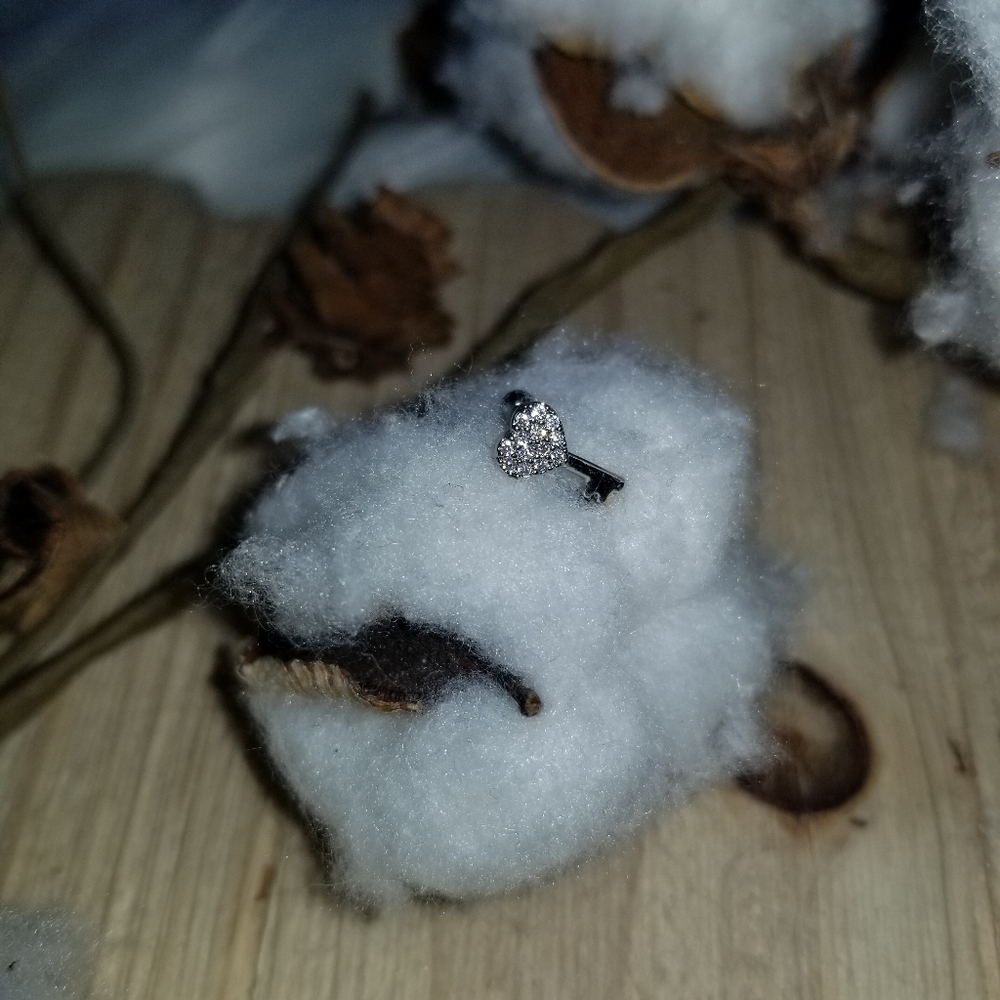 ππ#61 Pretty Silver CZ Key cartilage earringππ - Picture 3 of 6